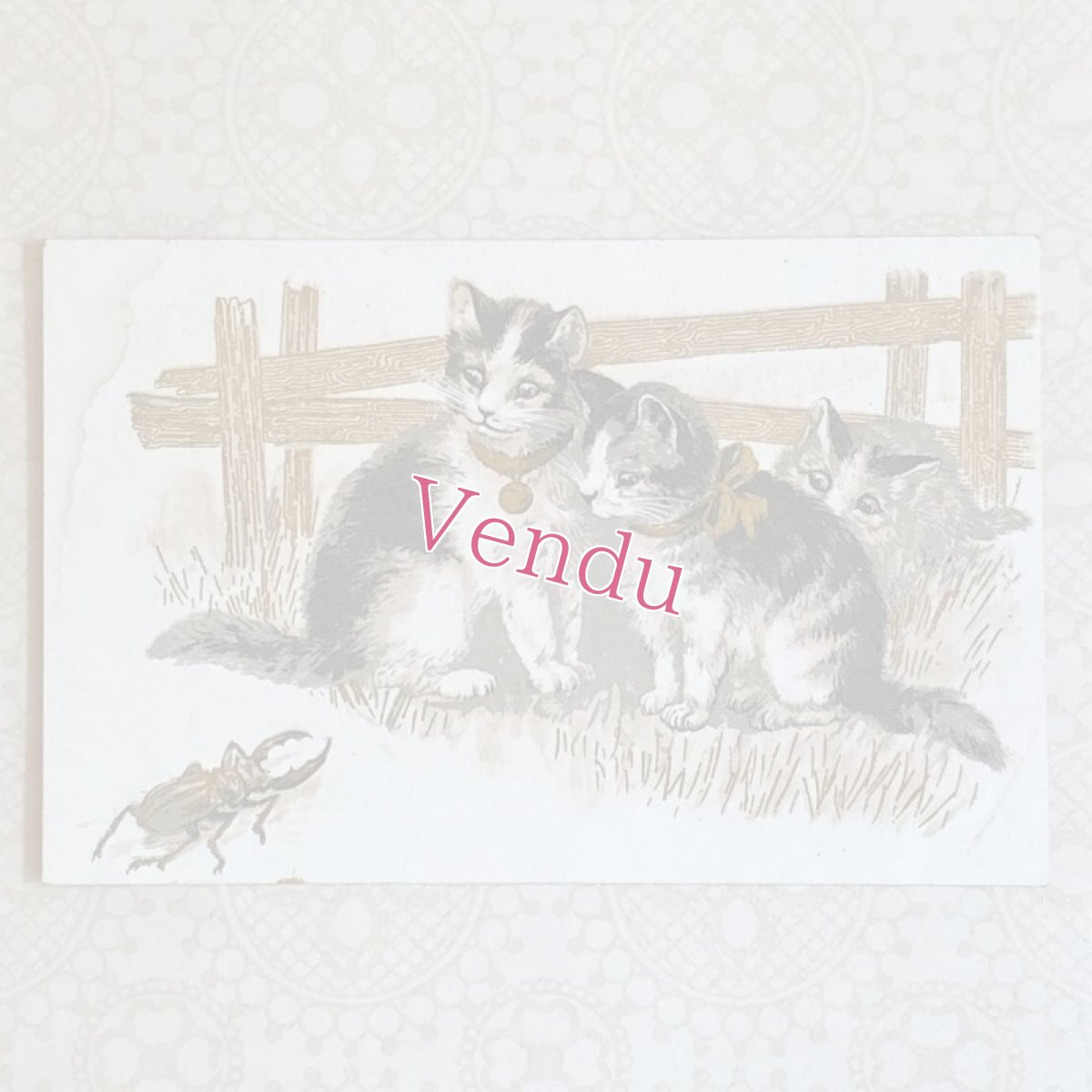 画像1: 通常価格¥1100→¥880*猫とクワガタの柄のポストカード (1)