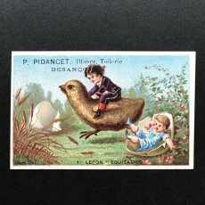画像4: P.PIDANCET 鳥と子供のクロモス　6枚セット (4)