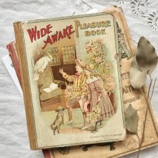 画像1: WIDE AWAKE PLEASURE BOOK (1)