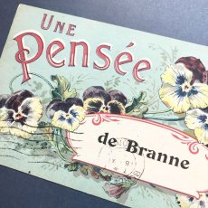 画像2: パンジー ”de Branne” ポストカード (2)