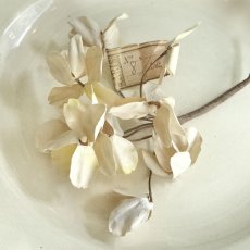 画像3: 白い花のコサージュ (3)