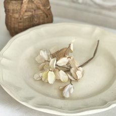 画像1: 白い花のコサージュ (1)