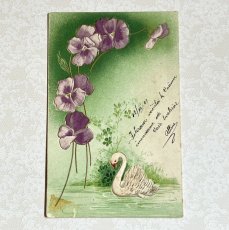画像1: 白鳥とパンジーのポストカード (1)