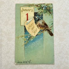 画像1: Happy new year　鳥とカレンダーのポストカード (1)