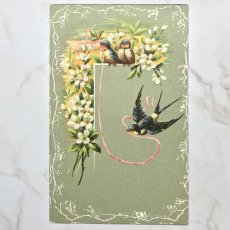 画像1: ピンクのリボンをくわえたツバメとガーデニアの花のポストカード (1)