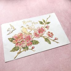 画像3: 桜と小鳥のポストカード (3)