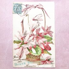 画像1: 春の妖精エリスロニウムの花かごポストカード (1)