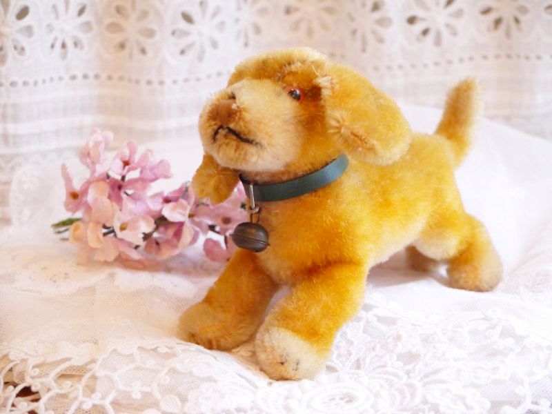 シュタイフ 犬のぬいぐるみ Torico Lore