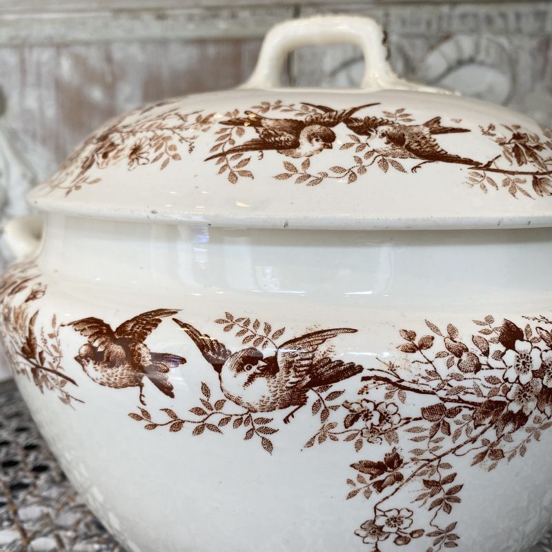 通常価格¥19800→¥13860*longwyロンウィ(cronstad) 小鳥とお花柄のスー 